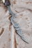 Эксклюзивный нож "Чужой" нержавеющий дамаск, рукоять ламинированный дамаск и бивень моржа со скримшоу 